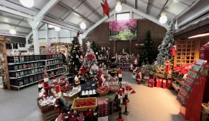 County Broadband Provided A 300Mbps Broadband Connection To Mill Race Garden Centre
